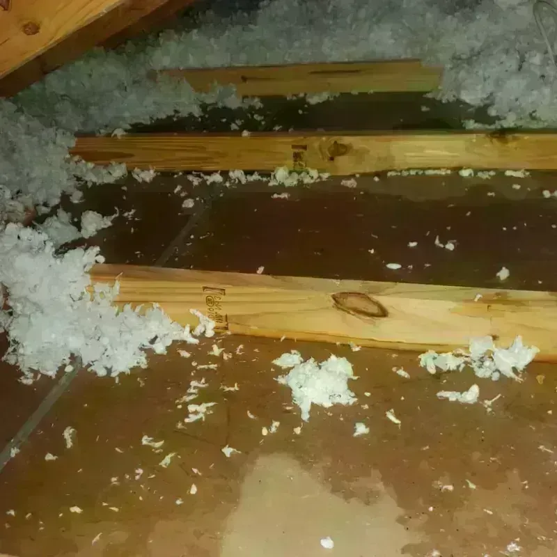 Attic Water Damage in North Smithfield, RI